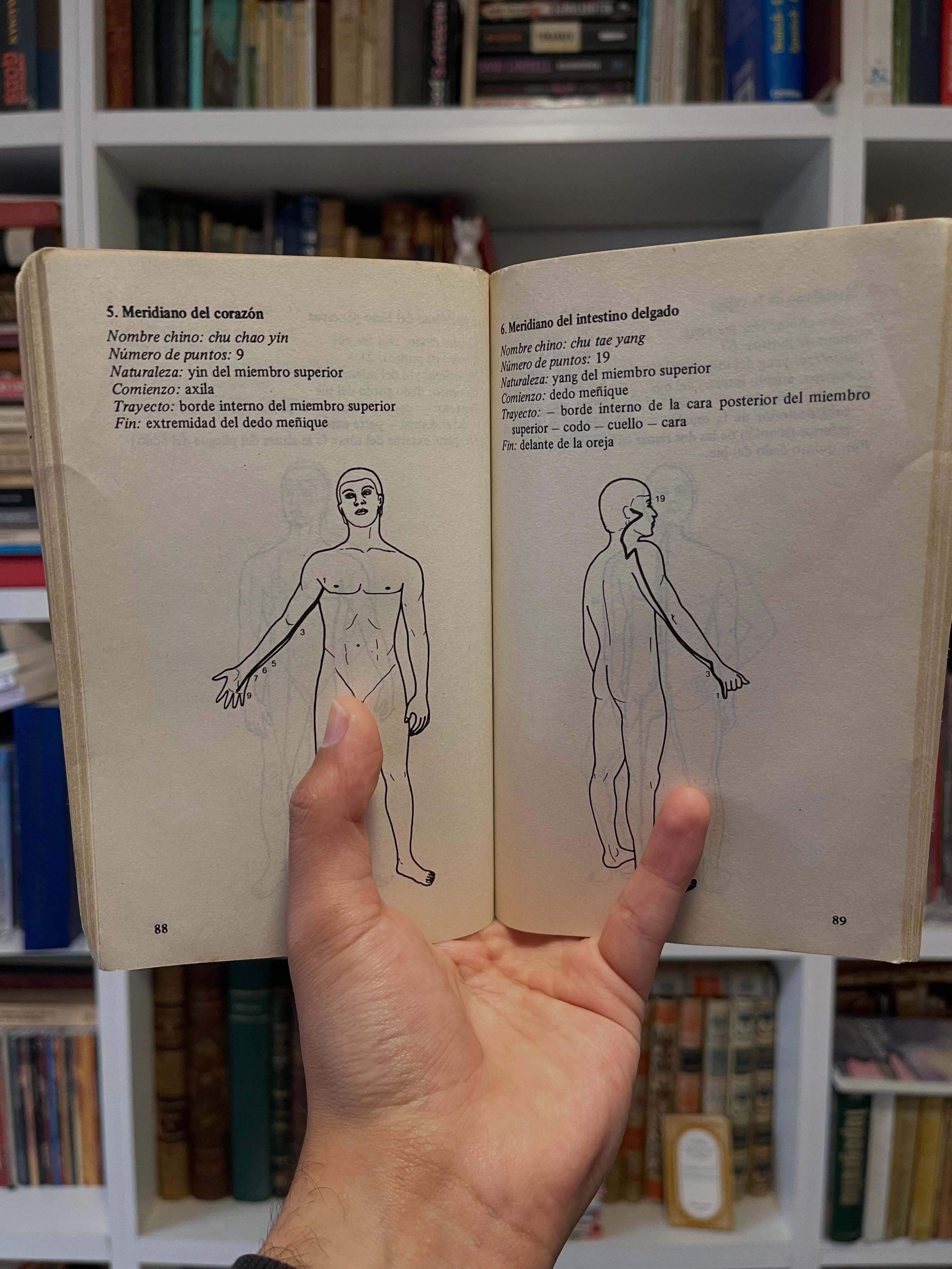 Acupuntura y Digitopresión: Dedos que curan - Imagen 7