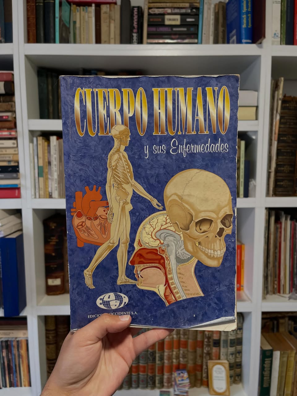 Cuerpo humano y sus Enfermedades