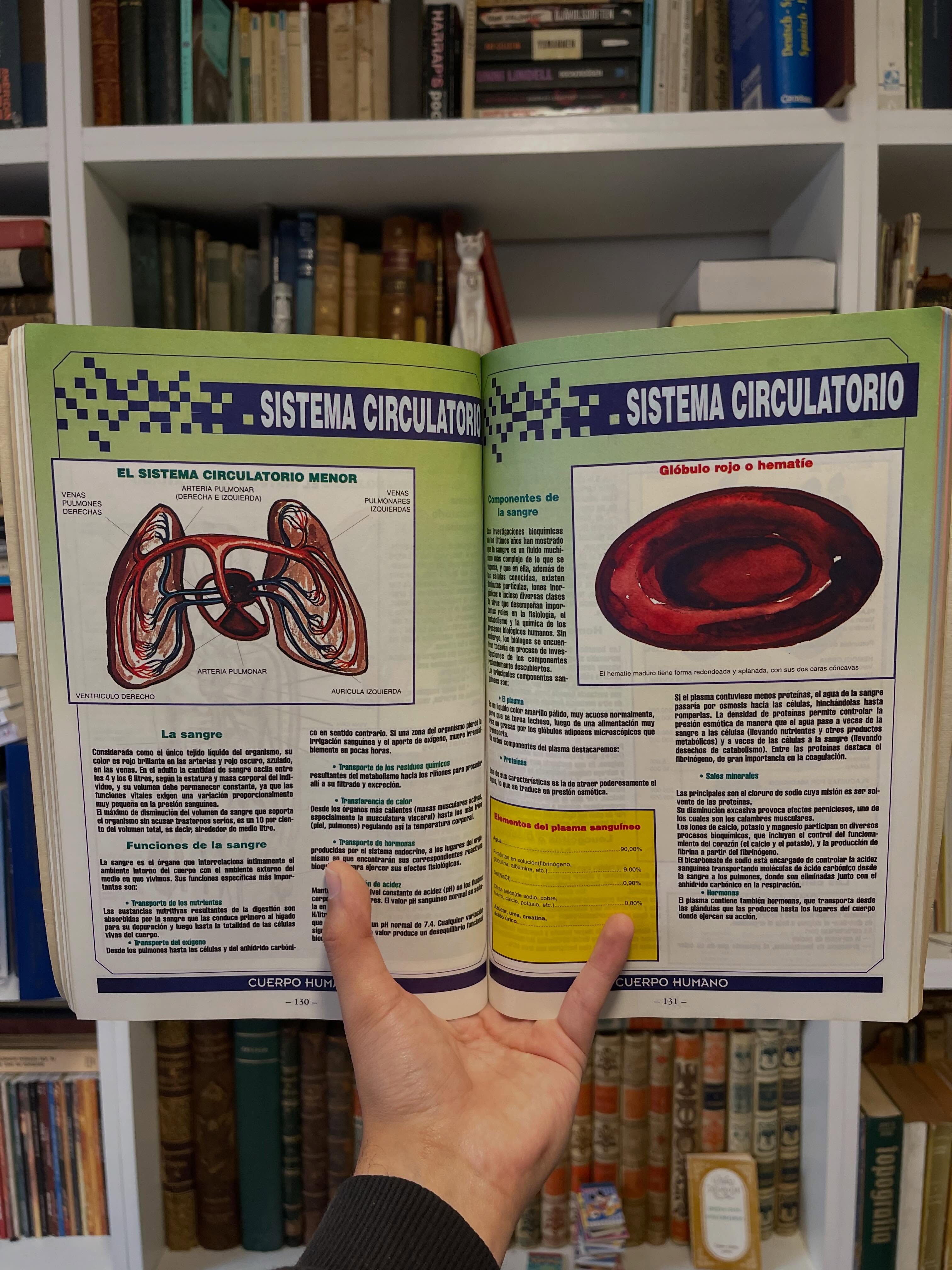 Cuerpo humano y sus Enfermedades - Imagen 6