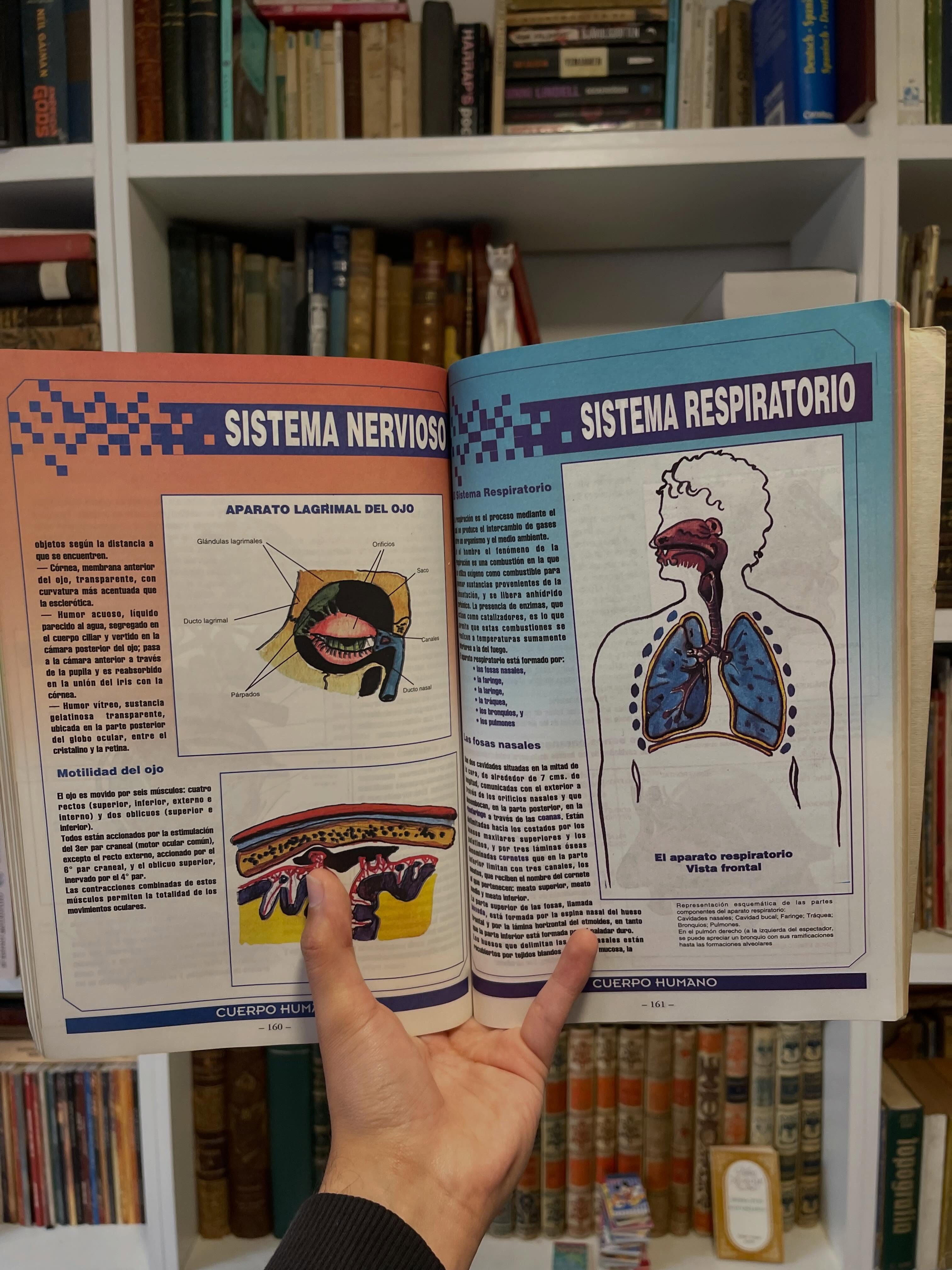 Cuerpo humano y sus Enfermedades - Imagen 7