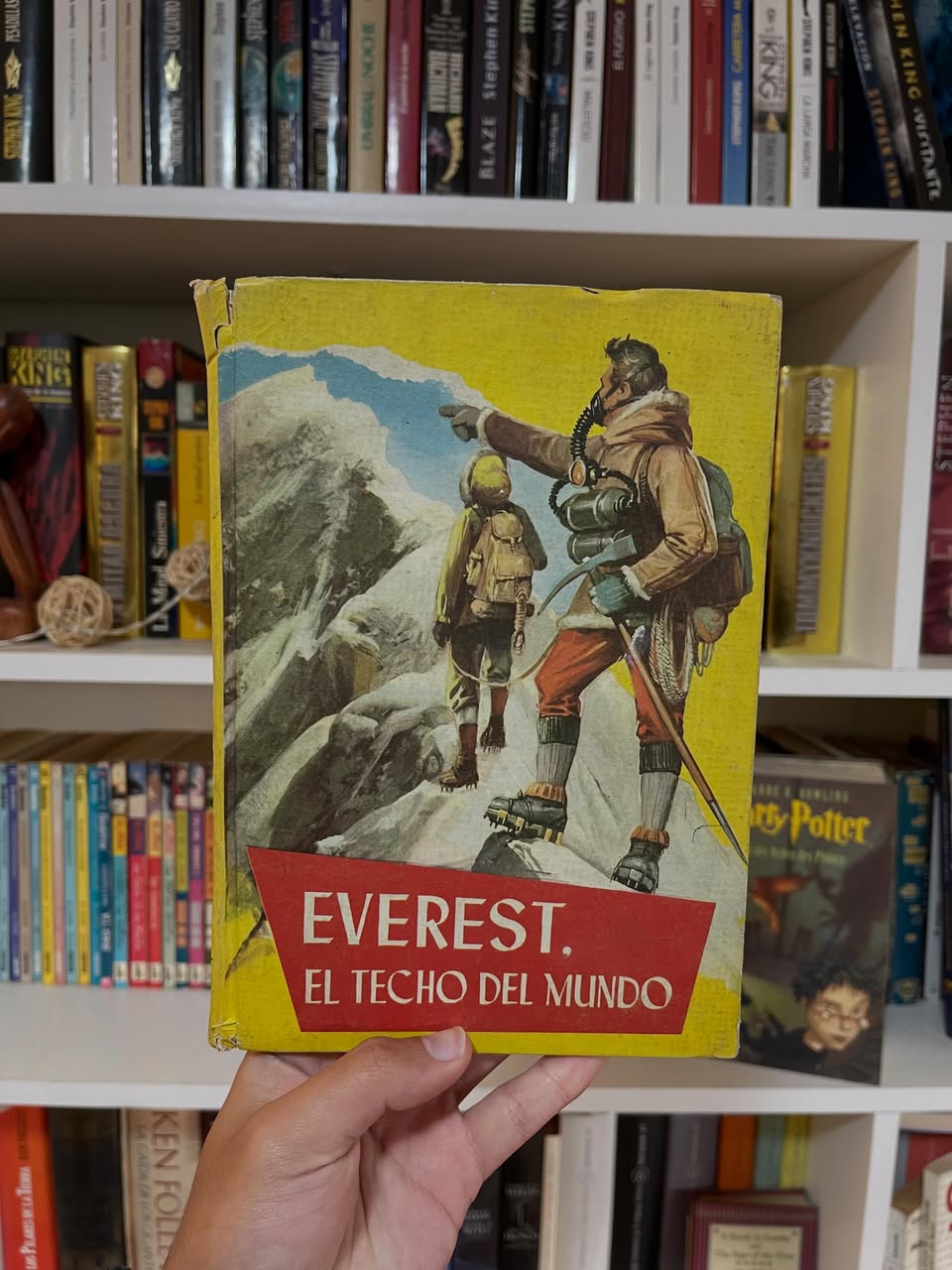 Everest. El techo del mundo
