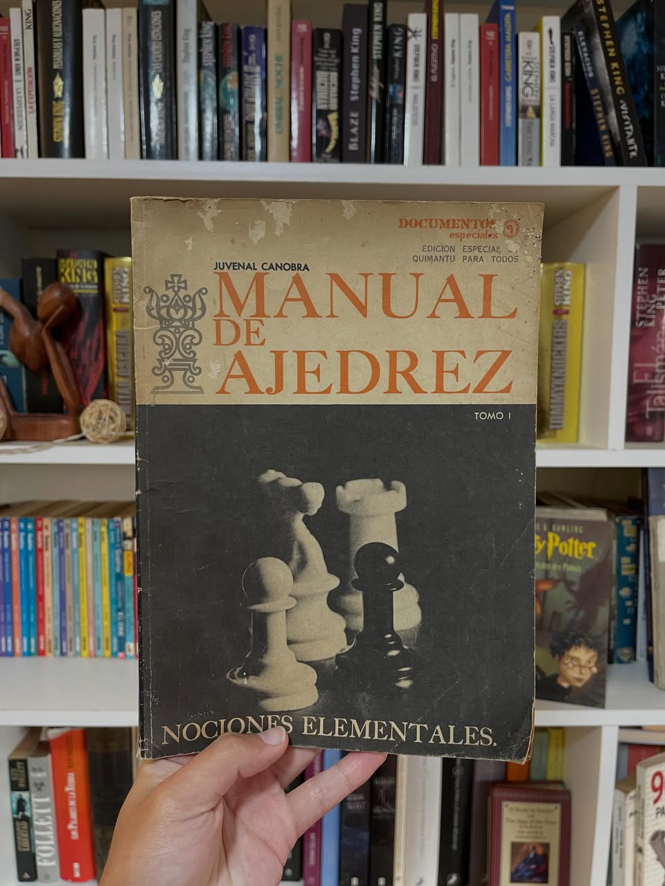 Manual de Ajedrez