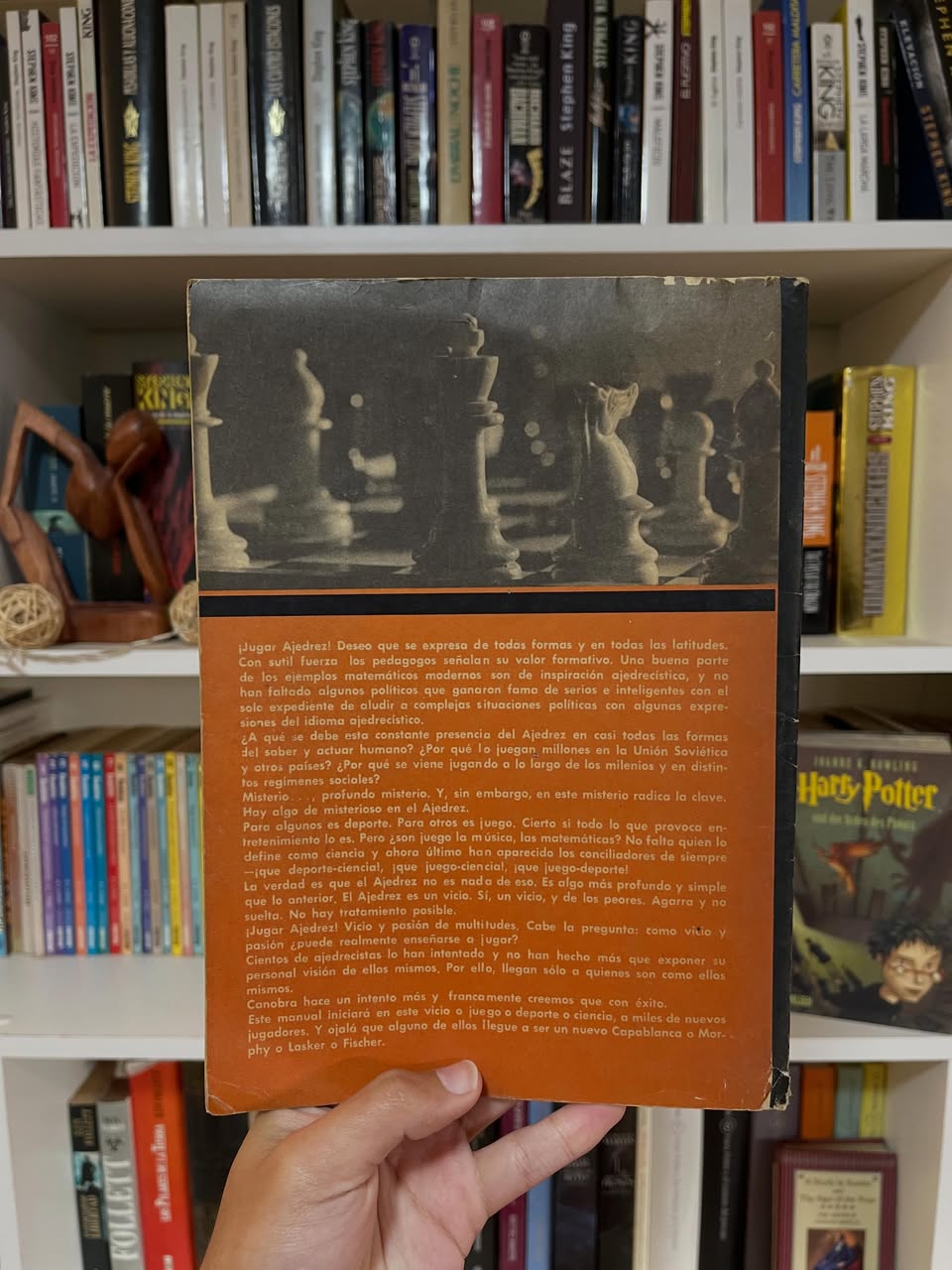 Manual de Ajedrez - Imagen 2