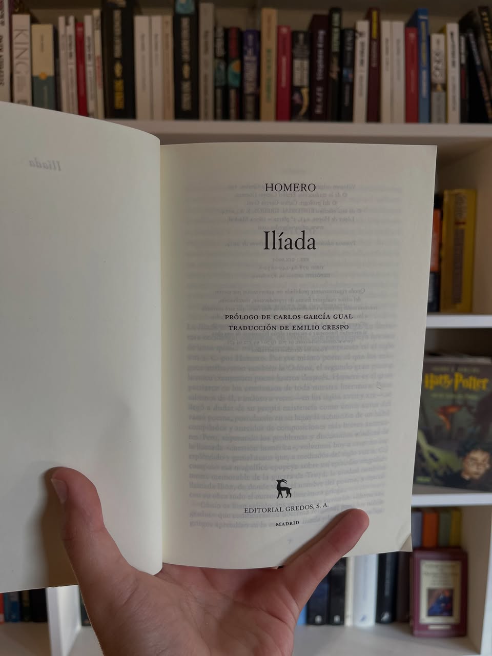 La ilíada - Imagen 4