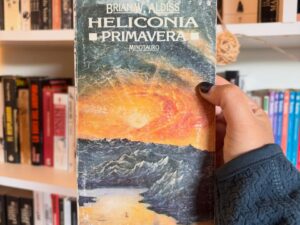 Heleconia: Primavera