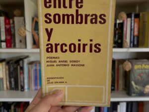 Entre sombras y arcoíris