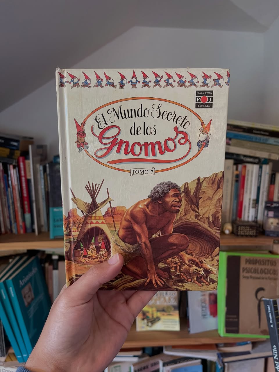 El mundo secreto de los Gnomos. Tomo 7