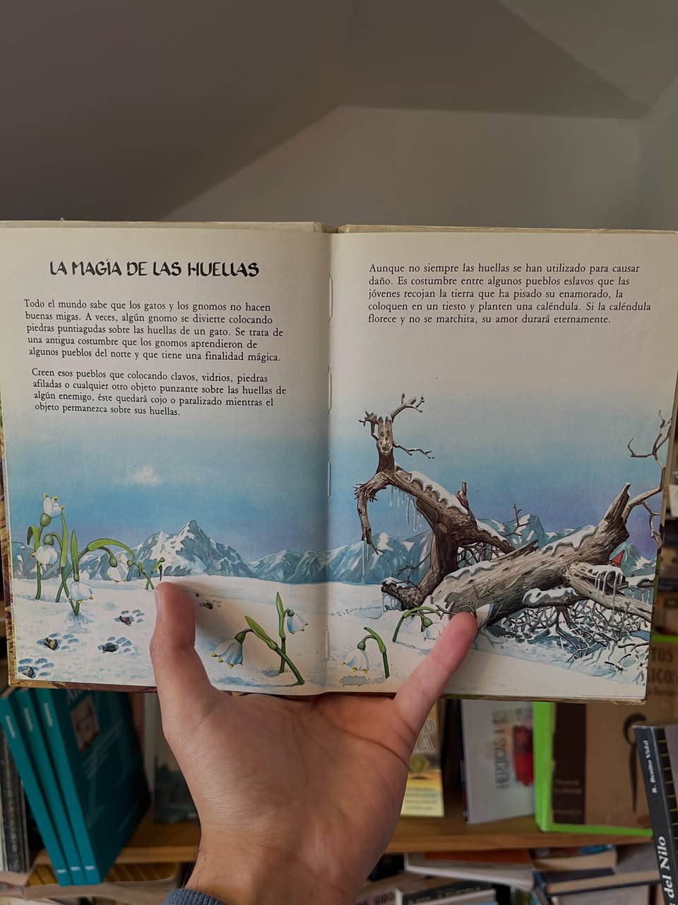 El mundo secreto de los Gnomos. Tomo 7 - Imagen 5