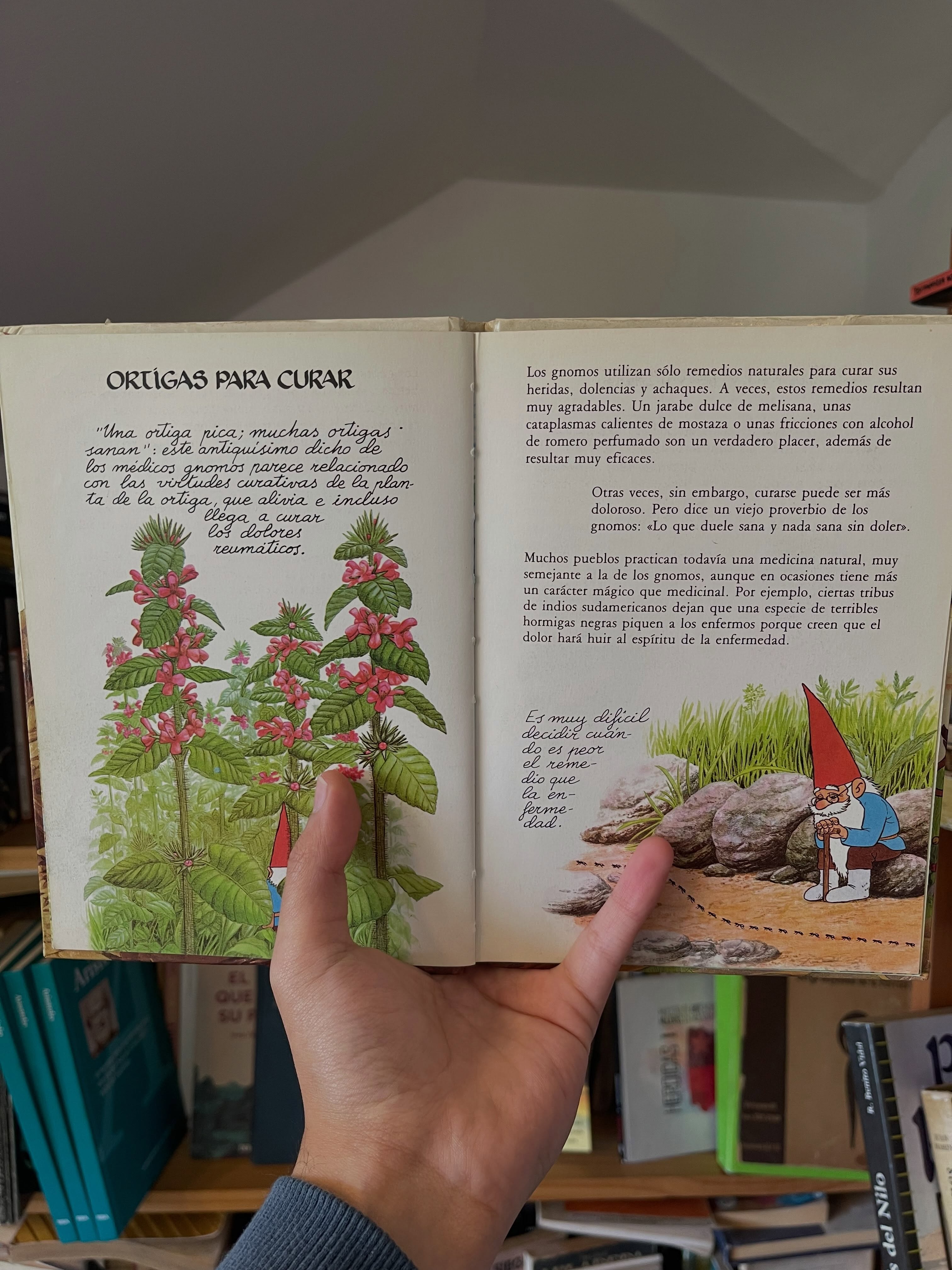 El mundo secreto de los Gnomos. Tomo 7 - Imagen 6
