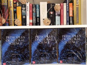 Home - Libros Frannie