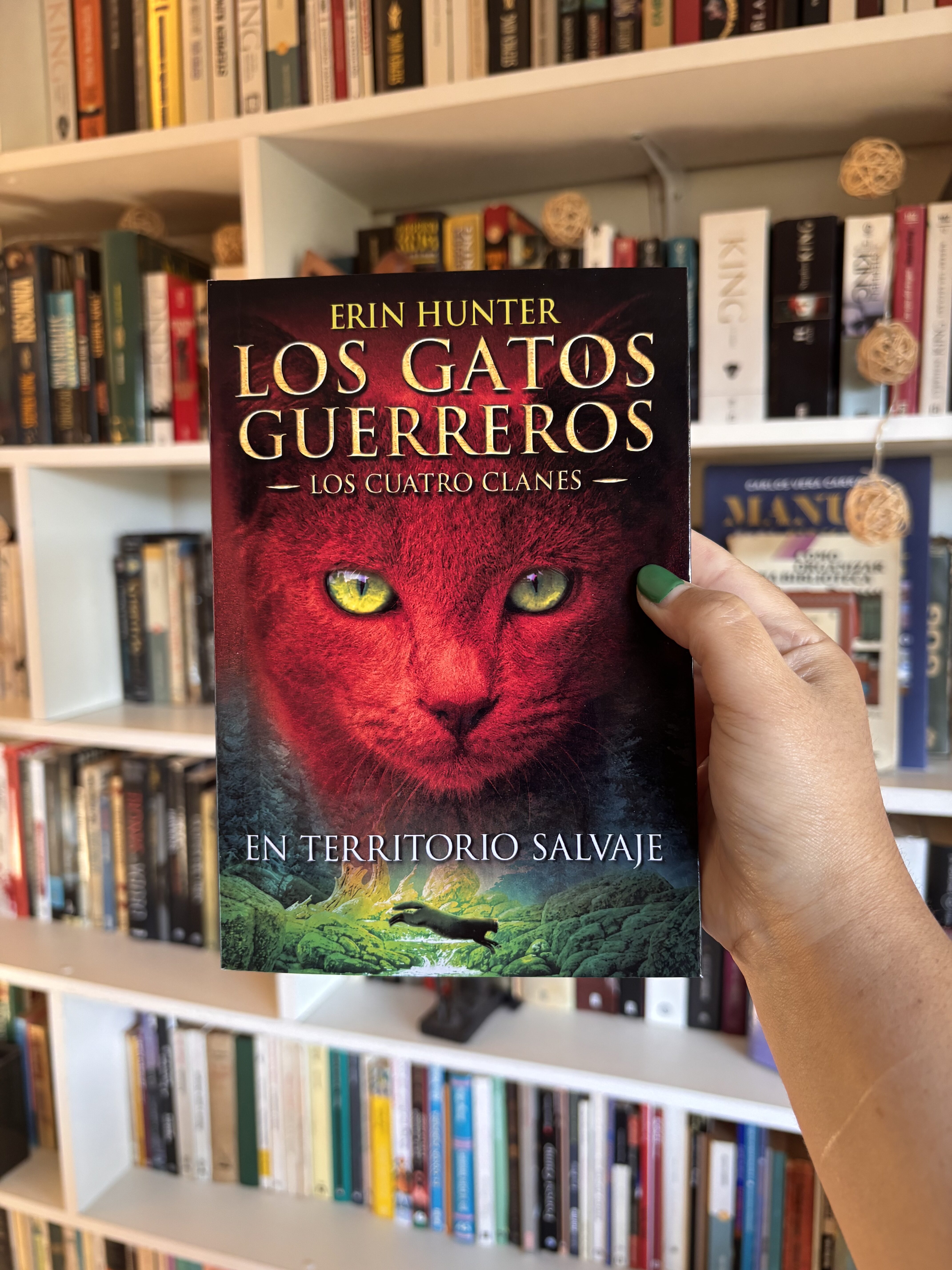Saga “LOS GATOS GUERREROS” 🐈⚔️ LOS CUATRO CLANES - Imagen 3
