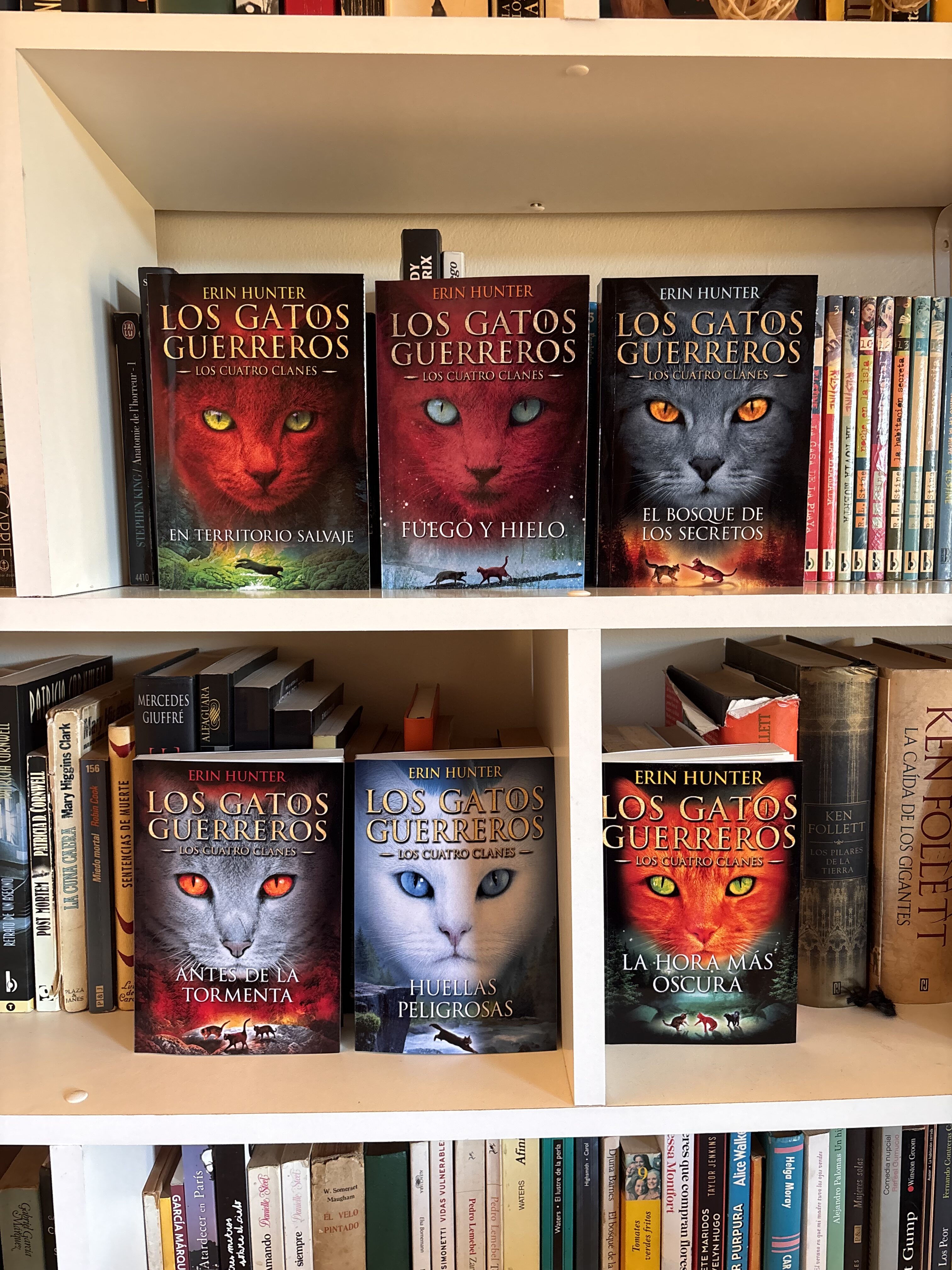 Saga “LOS GATOS GUERREROS” 🐈⚔️ LOS CUATRO CLANES