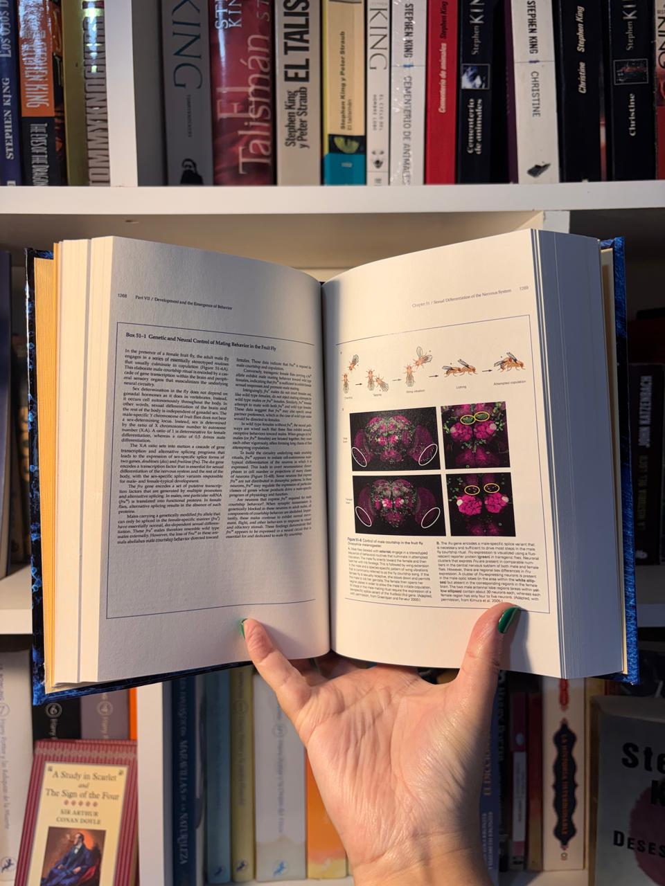 PRINCIPLES OF NEURAL SCIENCE - Versión tapa dura en 3 tomos - Imagen 5