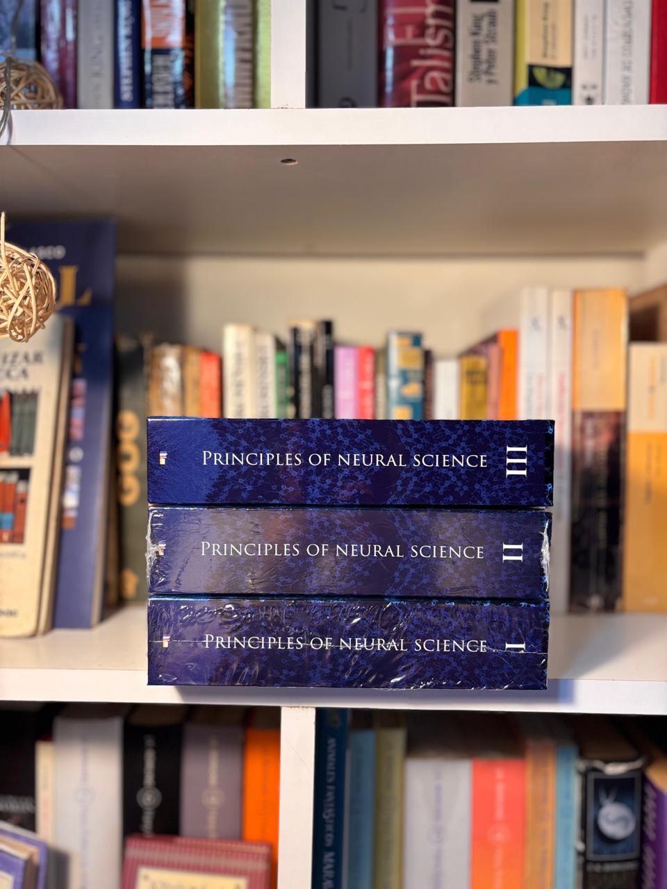 PRINCIPLES OF NEURAL SCIENCE - Versión tapa dura en 3 tomos - Imagen 6