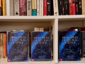 PRINCIPLES OF NEURAL SCIENCE
