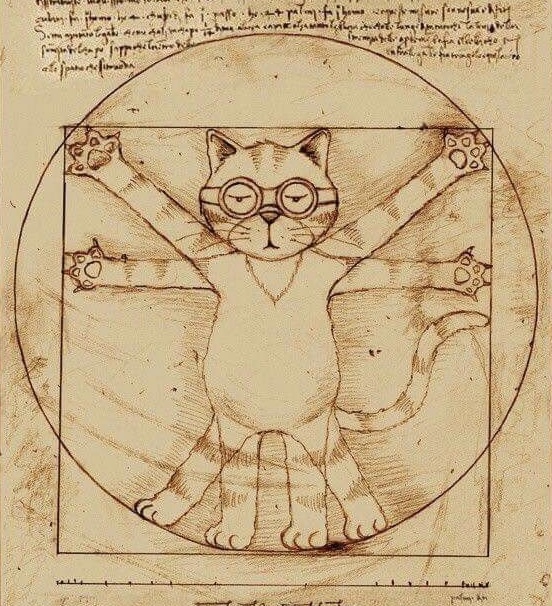 Antropología