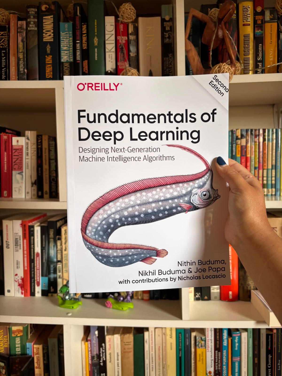 Fundamentals of Deep Learning