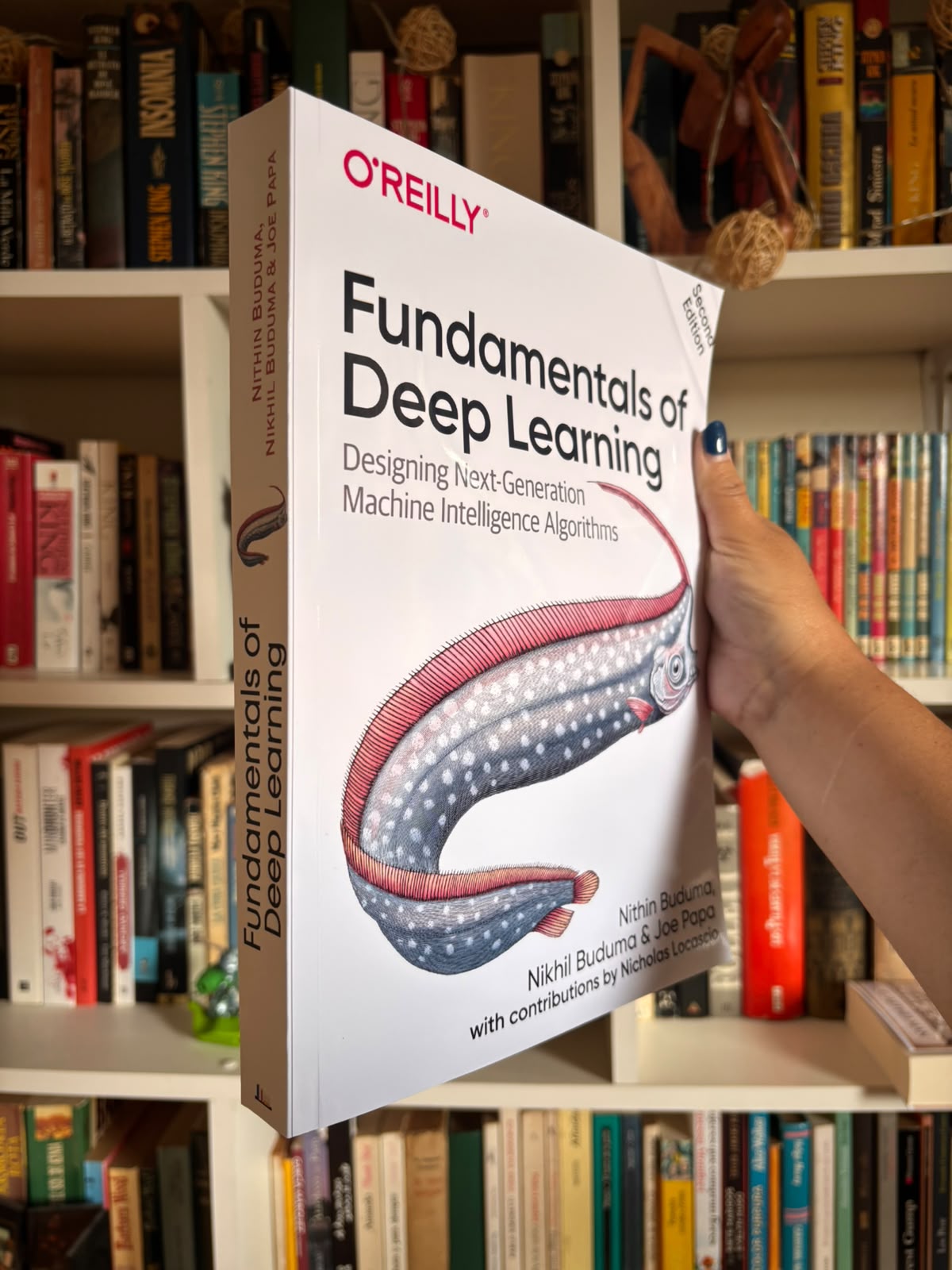 Fundamentals of Deep Learning - Imagen 5
