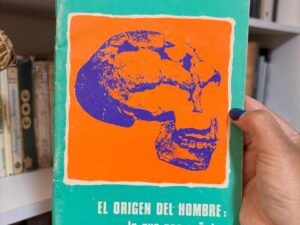 El origen del hombre: lo que nos señalan los fósiles